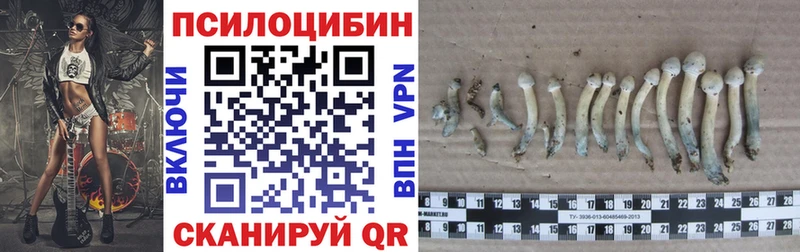 Псилоцибиновые грибы GOLDEN TEACHER  Георгиевск 
